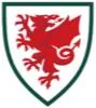 威尔士女足U17
