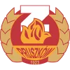 萨尼克二队